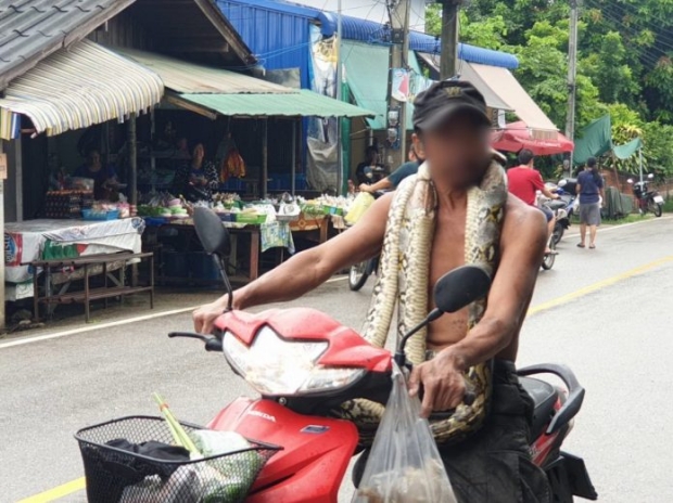 ตลาดแตก หนุ่มใหญ่เอางูเหลือมพันคอ เดินจ่ายตลาด เผยสุดแค้นถูกลอบกินไก่