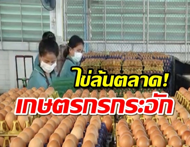 ไข่ไก่ล้นตลาดเกษตรกรวอนรัฐเร่งปลดล็อกส่งออก เหตุคนคลายกังวลโควิด