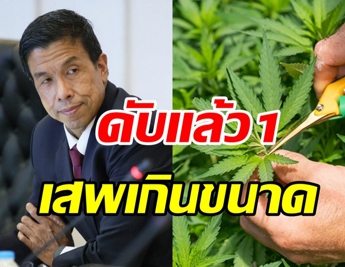   ช็อก! กทม.พบผู้เสียชีวิตเสพกัญชาเกินขนาด - ป่วยอีก3ราย