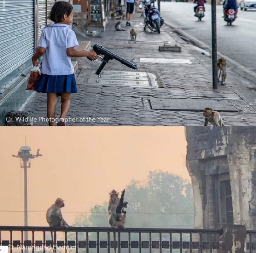 มอบภาพไวรัล เด็กถือปืนไล่ยิงลิง ให้นายกฯช่วยแก้ หวั่นว่อนโลก