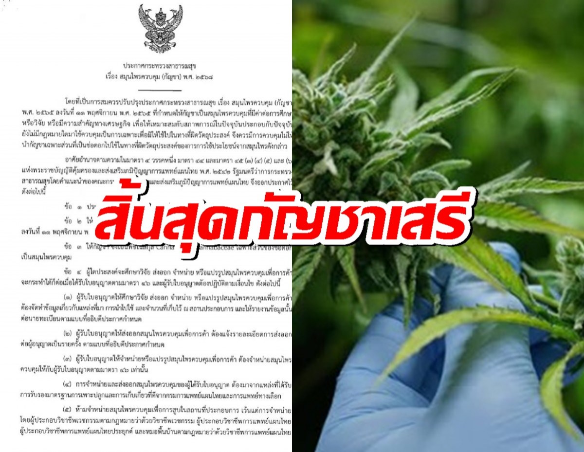 สิ้นสุดกัญชาเสรี! ประกาศใหม่ คุมช่อดอก ห้ามโฆษณา-ขายทั่วไป