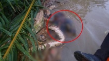สยอง!ศพอืดลอยน้ำ ชาวบ้านผวาเห็นงูเหลือมรัดรอบศพ