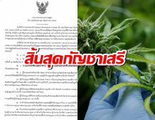 สิ้นสุดกัญชาเสรี! ประกาศใหม่ คุมช่อดอก ห้ามโฆษณา-ขายทั่วไป