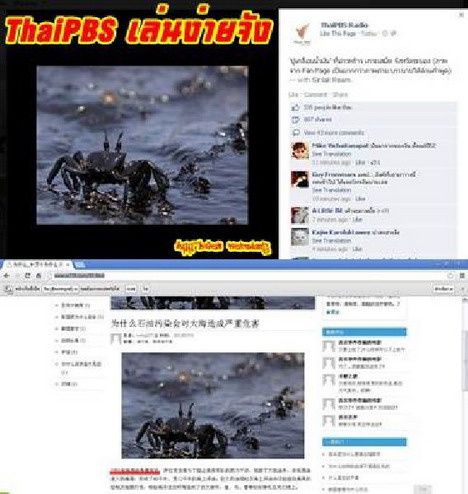 เป็นเรื่อง! ชาวเน็ตสับเฟซบุ๊ก วิทยุไทยพีบีเอส มั่วภาพข่าว ปูโดนคราบน้่ำมันที่เสม็ด !