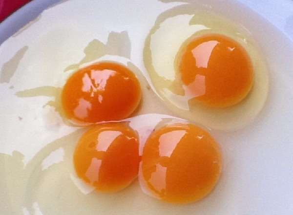 ฮือฮาไอเดีย! พระเทศน์-สวดมนต์ให้ไก่ฟัง ออกไข่แดงโตกว่าไก่ไข่ทั่วไป