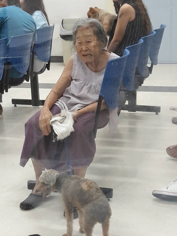  สุดประทับใจ!! คุณยายวัย 90 พาน้องหมาไปหาหมอ แม้ตัวเองจะเดินไม่ค่อยไหวก็ตาม