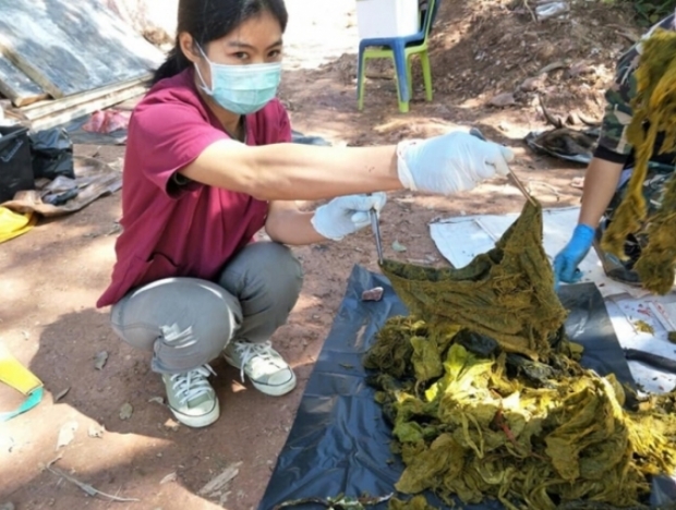 เร่งรณรงค์ ลดละเลิกใช้ขยะพลาสติก หลังกวางป่าขุนสถานตายอนาถ