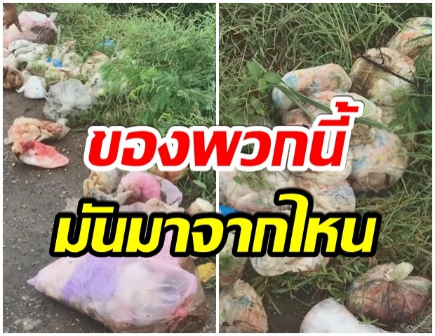 ขนลุก! แพมเพิร์ส-ผ้าอนามัยใช้แล้ว โผล่คลอง ก่อนทำน้ำประปา