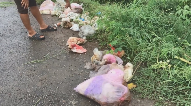 ขนลุก! แพมเพิร์ส-ผ้าอนามัยใช้แล้ว โผล่คลอง ก่อนทำน้ำประปา