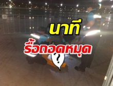 ชัดไม่ต้องซูม! นาทีเจ้าหน้าที่ ถอนหมุดคณะราษฎร ที่ 2