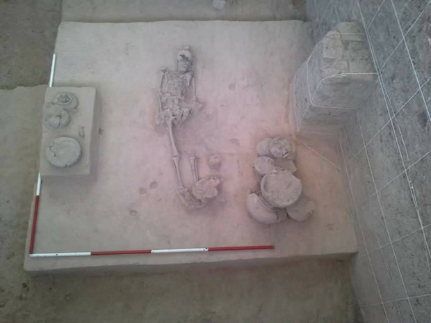 พบโครงกระดูก “สุนัข” ฝังพร้อมศพมนุษย์ราว 2,000 ปีก่อน ที่เมืองศรีเทพ จ.เพชรบูรณ์