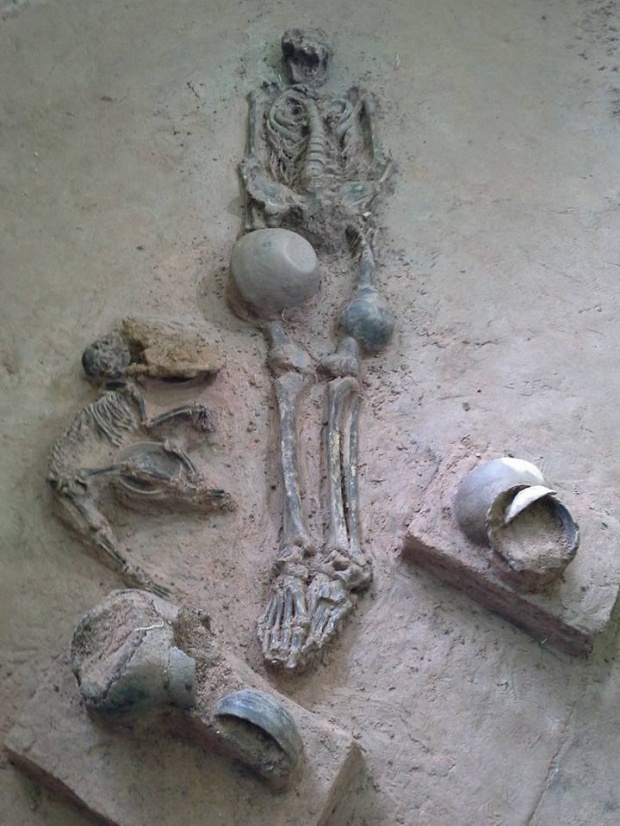 พบโครงกระดูก “สุนัข” ฝังพร้อมศพมนุษย์ราว 2,000 ปีก่อน ที่เมืองศรีเทพ จ.เพชรบูรณ์