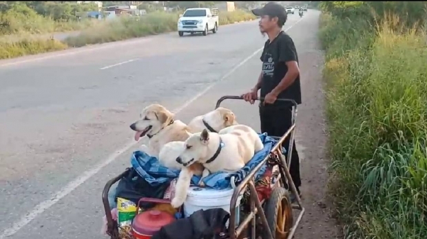 หนุ่มอุดรฯยังเดินหน้าพากระดูกเมียรักเที่ยวทั่วไทย