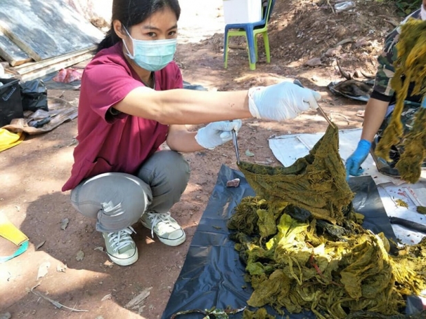   สุดสลด! กวางป่าตายในอุทยานฯ ขุนสถาน อึ้ง! พบขยะะพลาสติกในกระเพาะ 7กก.