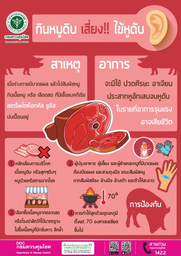 เตือนภัย! “กินเลี้ยงปีใหม่ เลี่ยงหมูสุกๆ ดิบๆ”  เสี่ยงไข้หูดับ-หูหนวกถาวร