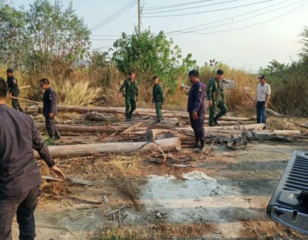 เตรียมดำเนินคดี ทวี ไกรคุปต์! บุกยึดโรงแปรรูปไม้ และจระเข้ 1,000 ตัว