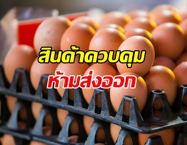 ราชกิจจาฯ ประกาศ ไข่ไก่เป็นสินค้าควบคุม ห้ามส่งออก