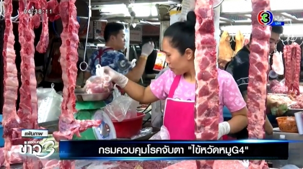 กรมควบคุมโรคจับตา ‘ไข้หวัดหมู G4’ ระบาดที่จีน แพร่จากสัตว์สู่คนได้