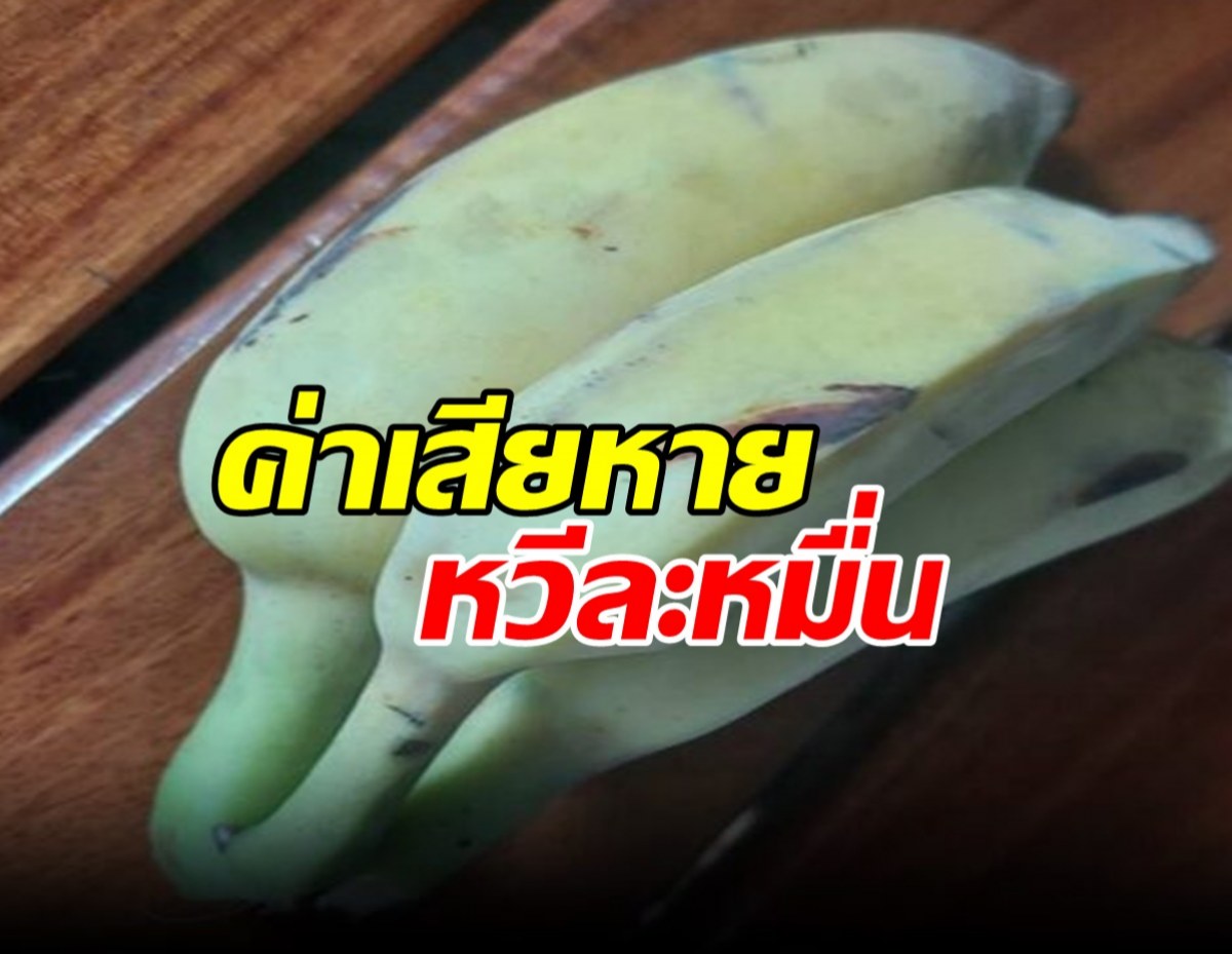 นักเรียนวัย 5-12 ปี แอบกินกล้วยในครัว เจอหมายเรียก คิดค่าเสียหายหวีละหมื่น