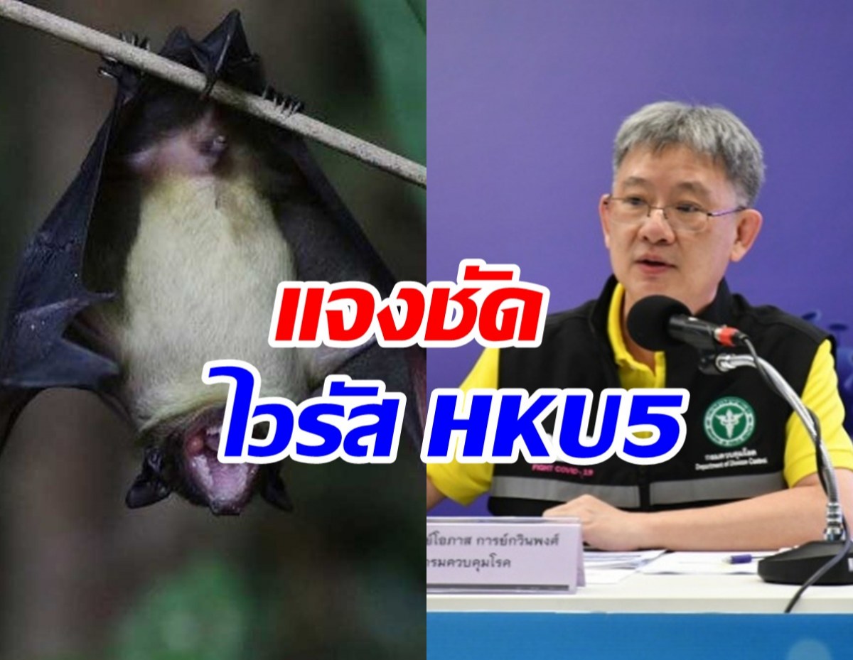 สธ.แจงชัด! กระแสข่าวไวรัสโคโรนาสายพันธุ์ใหม่ HKU5 ในค้างคาว