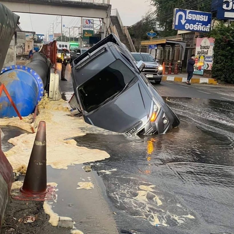 photo credit  : Sirote Klampaiboon (ศิโรตม์ คล้ามไพบูลย์)