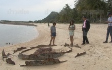 แห่ดูเหล็กประหลาดโผล่กลางชายหาดเกาะสมุย คาดอายุกว่า 100 ปี จนท.เคยขุด-ไม่สำเร็จ!!