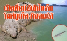 เปิดที่มาไอ้เข้น้ำเค็ม!! โผล่ทะเลภูเก็ต! แฉนิสัยสุดดุร้าย-กระโดดงับเหยื่อ ฉายา “Man Eater”