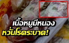 หวั่นโรคระบาด พบเนื้อหมูมีหนอง หลังซื้อมาจากห้างเมืองตราด