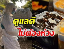 กินดีอยู่ดี ทหารเรือไทยอัพเดทวันที่2 การดูแล-อาหาร ที่จัดให้คนไทยในจีน 