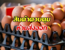 ราชกิจจาฯ ประกาศ ไข่ไก่เป็นสินค้าควบคุม ห้ามส่งออก