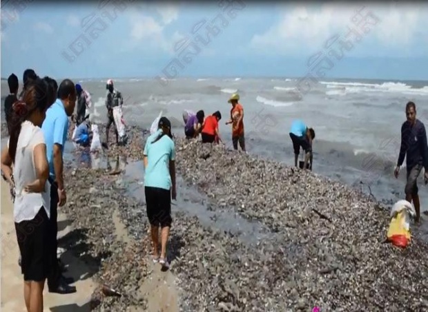 คลื่นซัดหอยเกลื่อนหาดผวา“สึนามิ” 