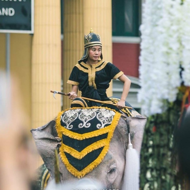 ฮือฮามาก ย้อนดูงานวิวาห์ หมอพลอย ควาญช้างหญิงสวมชุดเจ้าสาวขี่หลังช้างสุดอลังการ