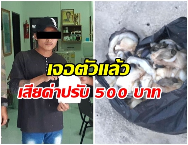 รวบแล้ว! หนุ่มพม่ากินหอยมือเสือ เสียค่าปรับ 500 บาท