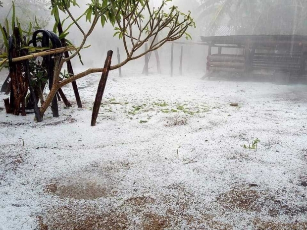 ระวังสุขภาพ! กรมอุตุฯ เตือนฝน-ลูกเห็บถล่มเหนือ อีสานอุณหภูมิลดฮวบ กทม.มีฝน