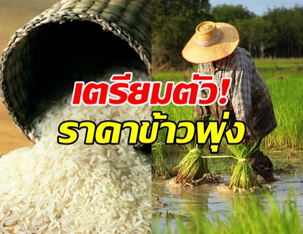 เตรียมกินข้าวแพง! โรงสีดันราคาข้าว สูงสุดในรอบหลายปี!?!