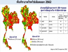 เตือน!ไข้เลือดออกสายพันธุ์ดุเดงกี่ คร่าชีวิตแล้ว30ราย