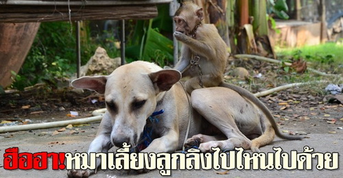 ภาพจาก คมชัดลึก