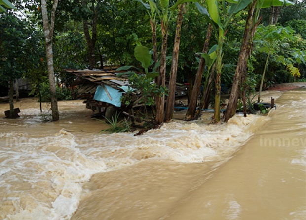 พัทลุงฝนหนักน้ำเอ่อท่วมควนขนุนอีกรอบ