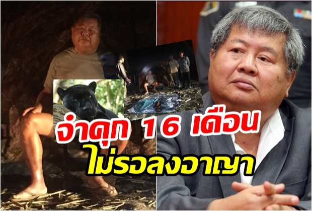 ด่วน! ศาลสั่งจำคุก 16 เดือน เจ้าสัวเปรมชัยล่าเสือดำทุ่งใหญ่