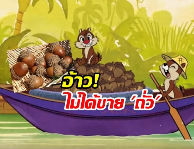 อันตรายมาก! พืชในเรือ “ชิปกับเดล” ไม่ใช่ถั่ว เด็ดสดๆ กินหมดไม่ได้  ขมมากและเป็นพิษ