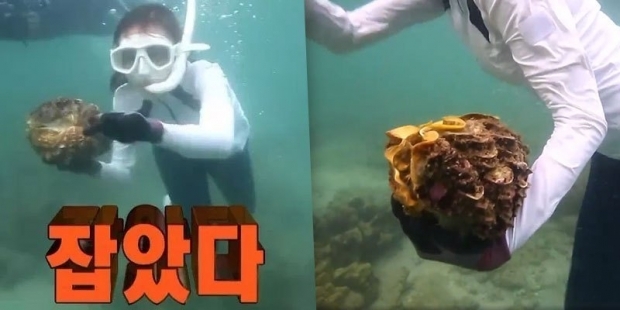 รายการเกาหลี “Law of the Jungle” ขอโทษอย่างเป็นทางการ ปมจับหอยมือเสือ