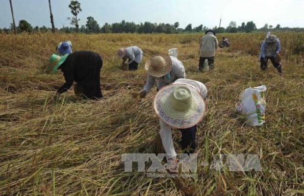 สื่อเวียดนามตีข่าวกระทรวงการคลังไทยจ่ออัดงบแสนล้านบาทช่วยชนบท