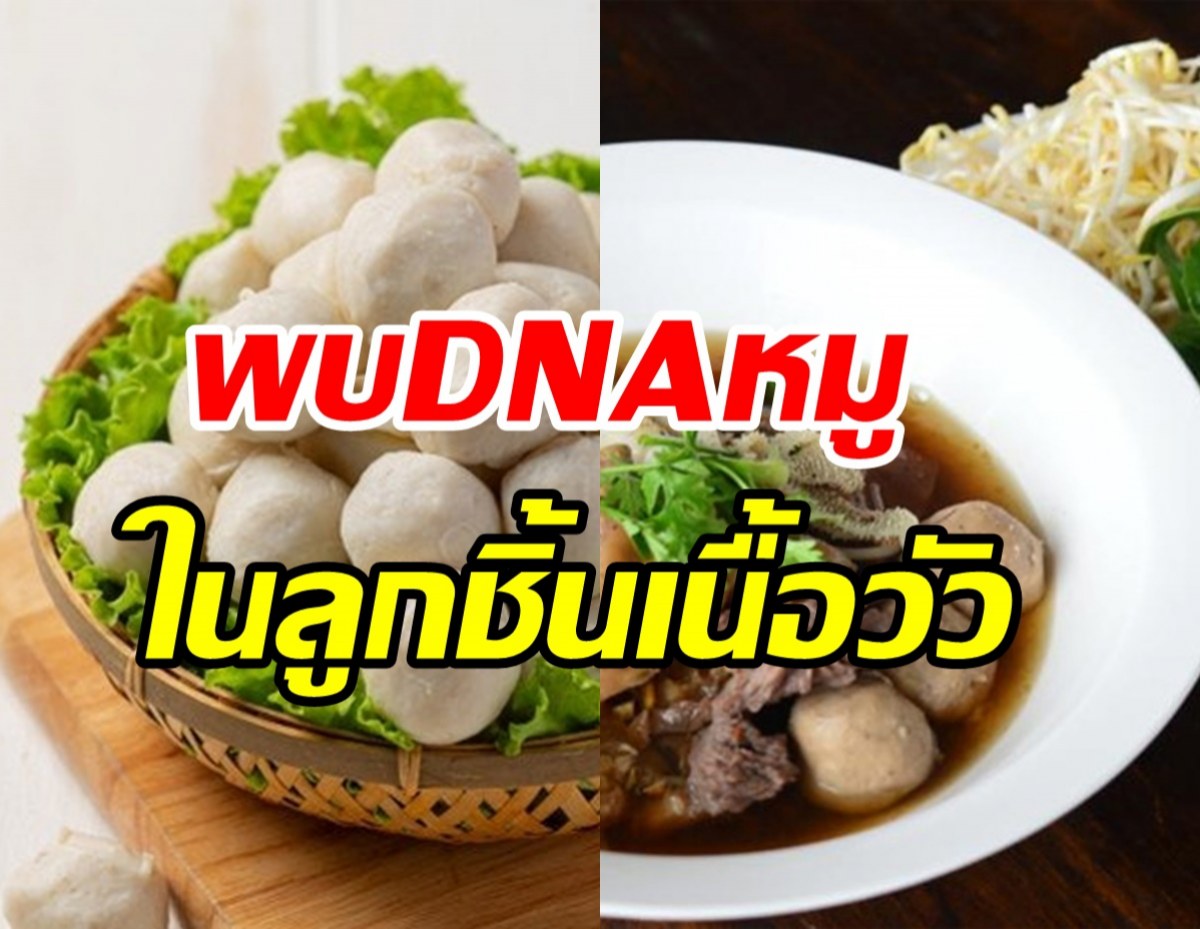 ผงะ! พบDNAหมูในลูกชิ้นเนื้อวัวยี่ห้อดัง-เตือนผู้บริโภคมุสลิมไม่ควรทาน