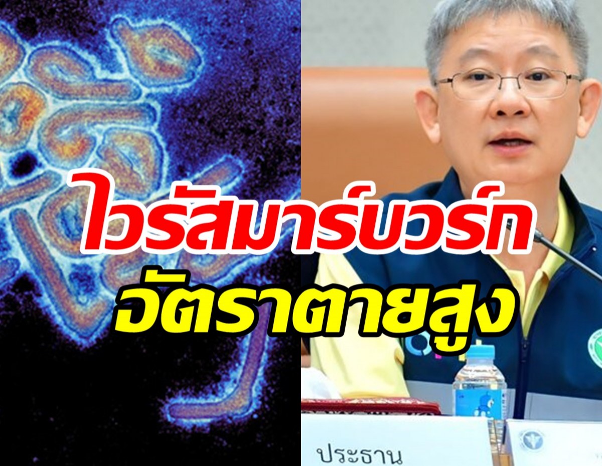   สธ.จับตาไวรัสมาร์บวร์กตระกูลอีโบลา พบอัตราตายสูง-ไร้วัคซีนยาต้าน