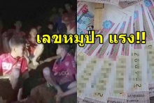 สารพัดเลขเด็ดโผล่เพียบ เลขหมูป่าถ้ำหลวงทะลุใบละ150บ.