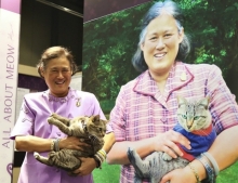 ​กรมสมเด็จพระเทพฯ พระราชทานพรปีใหม่ 2563 “แมวไม่อยู่ หนูร่าเริง”