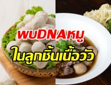 ผงะ! พบDNAหมูในลูกชิ้นเนื้อวัวยี่ห้อดัง-เตือนผู้บริโภคมุสลิมไม่ควรทาน