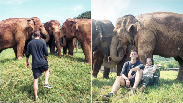 สงสารช้างไทย!!! หนุ่มแคนาดาระดมทุนไถ่ช้างวัย 80 เหตุโดนล่ามโซ่ ใช้งานหนัก