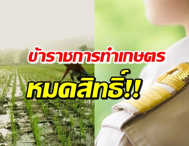 อด! ข้าราชการทำเกษตร ไม่ได้รับเงินเยียวยา พร้อมแจงเหตุผล