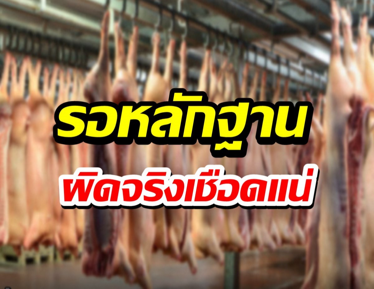 ยังไม่ฟันกักตุน! แจงปมหมู 2 แสนกก. รอหลักฐานผิดจริงเชือดแน่